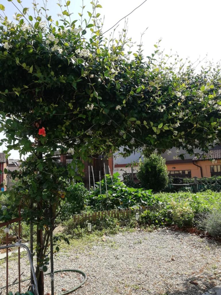 La casetta di Pio photo 2