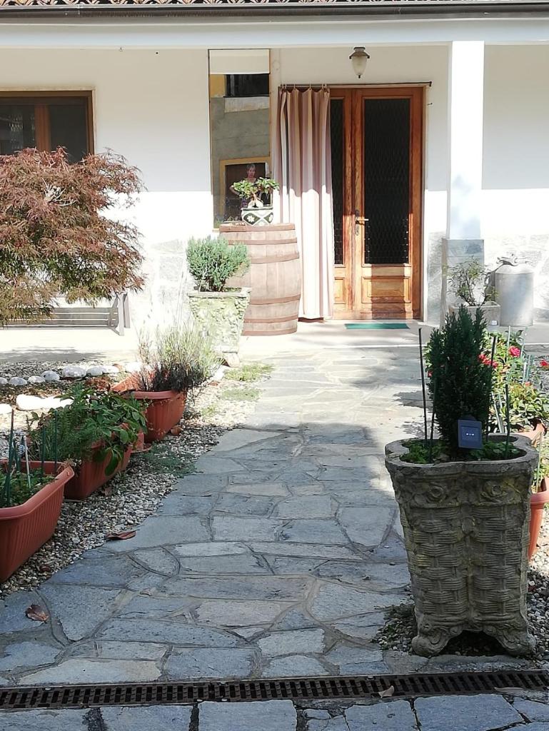 La casetta di Pio photo 1