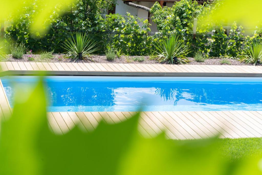 Villa Montis photo 1