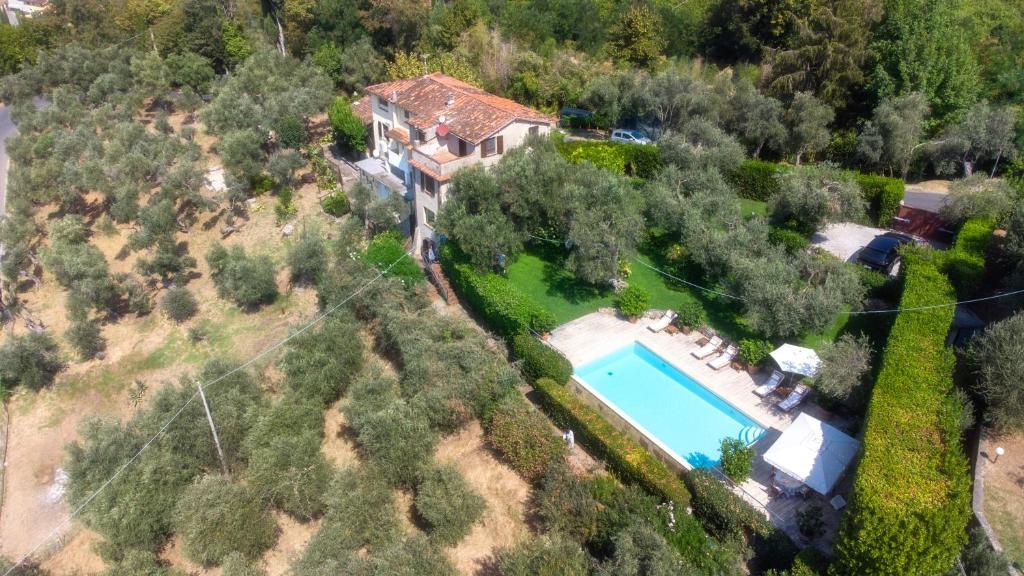 Villa Eden Versilia photo 3