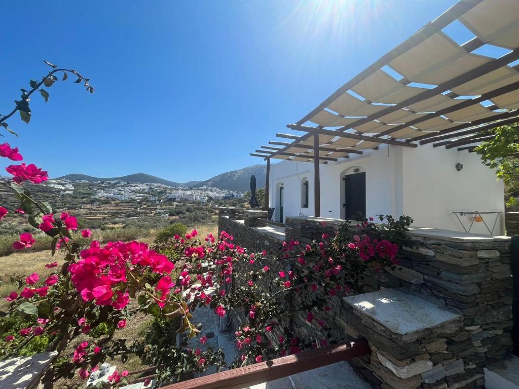 Apollon-Artemis Apartments photo 2