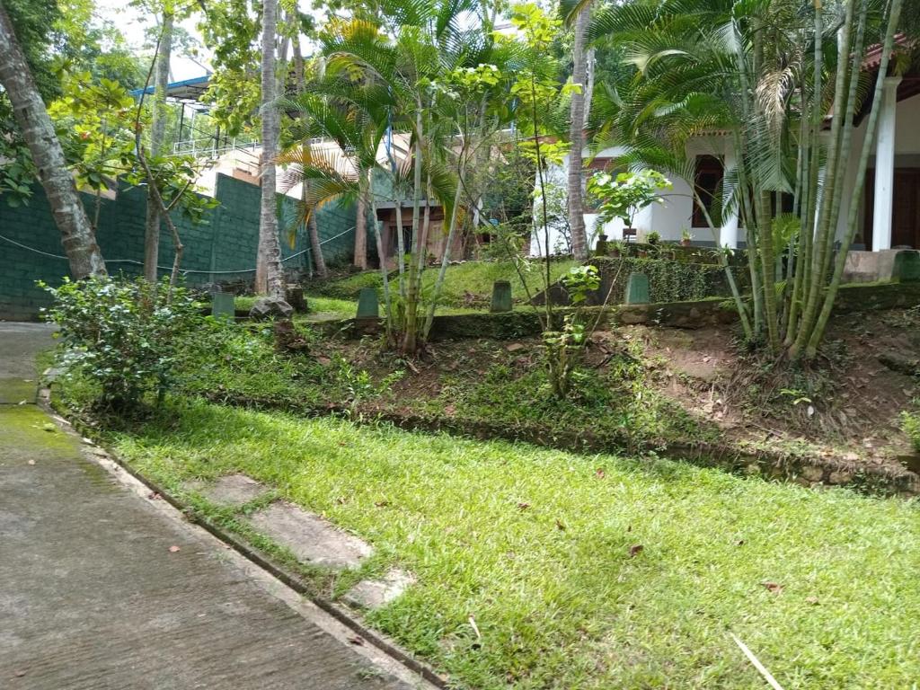 Thari Homestay photo 3
