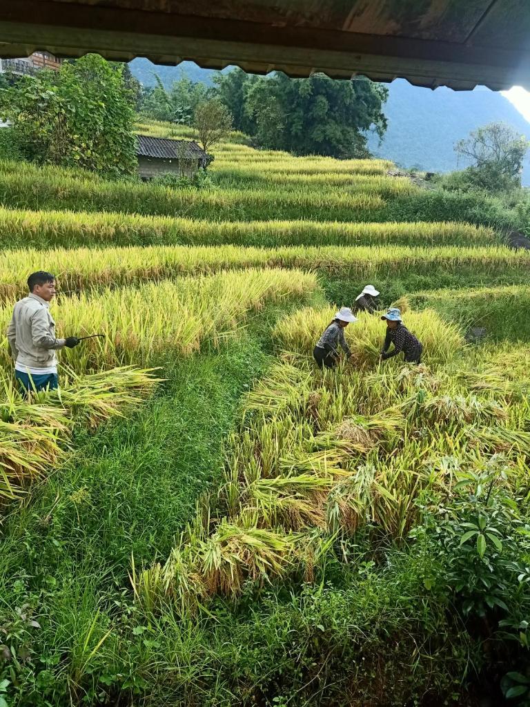 Lee's Charm Homestay