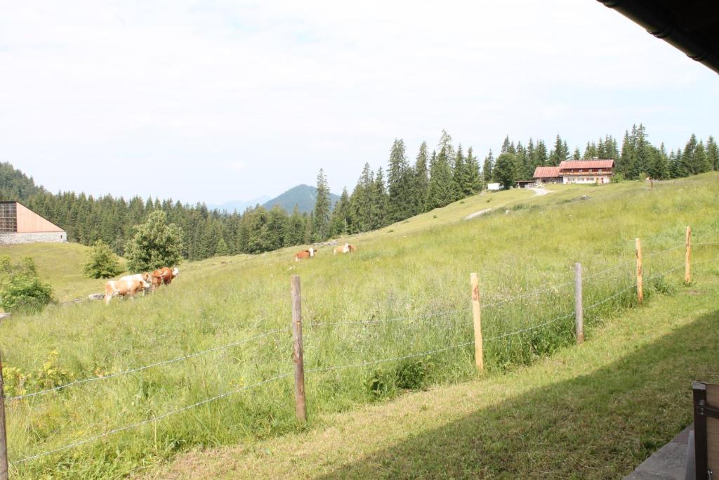 Winklmoos Sonnenalm photo 1