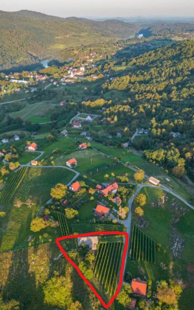 Cottage near river Kolpa, vineyards,top location. photo 1