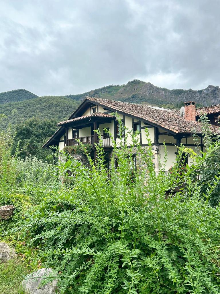 Posada San Pelayo photo 3