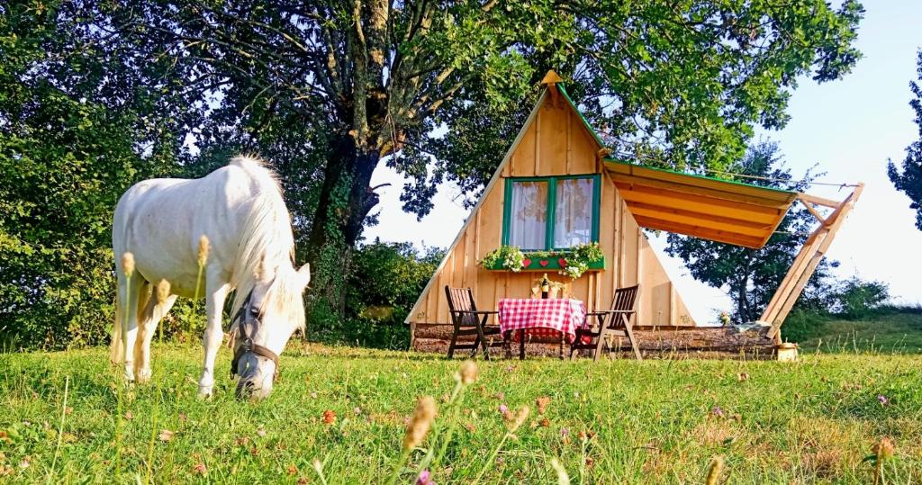 La dolce vita Camp photo 4