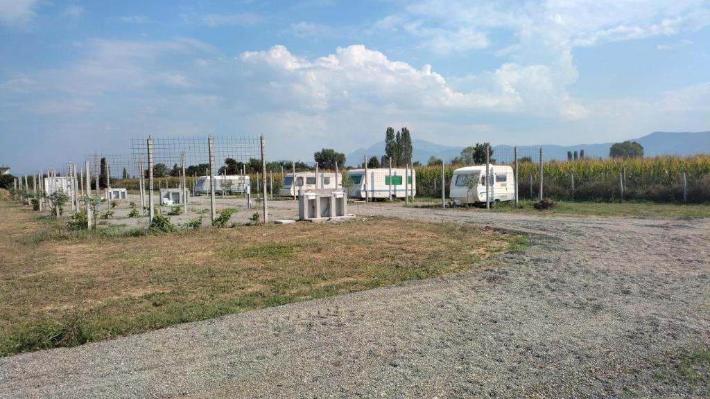 Agri Camping italiano - Eucalyptus photo 1