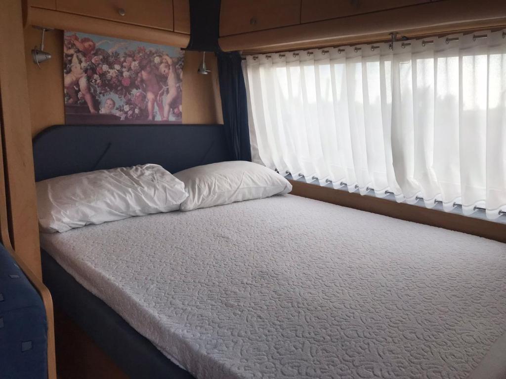 Agri Camping italiano - Eucalyptus