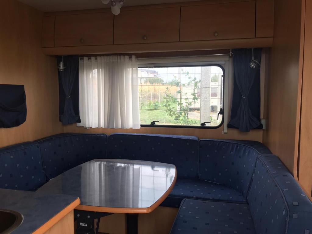 Agri Camping italiano - Eucalyptus photo 2