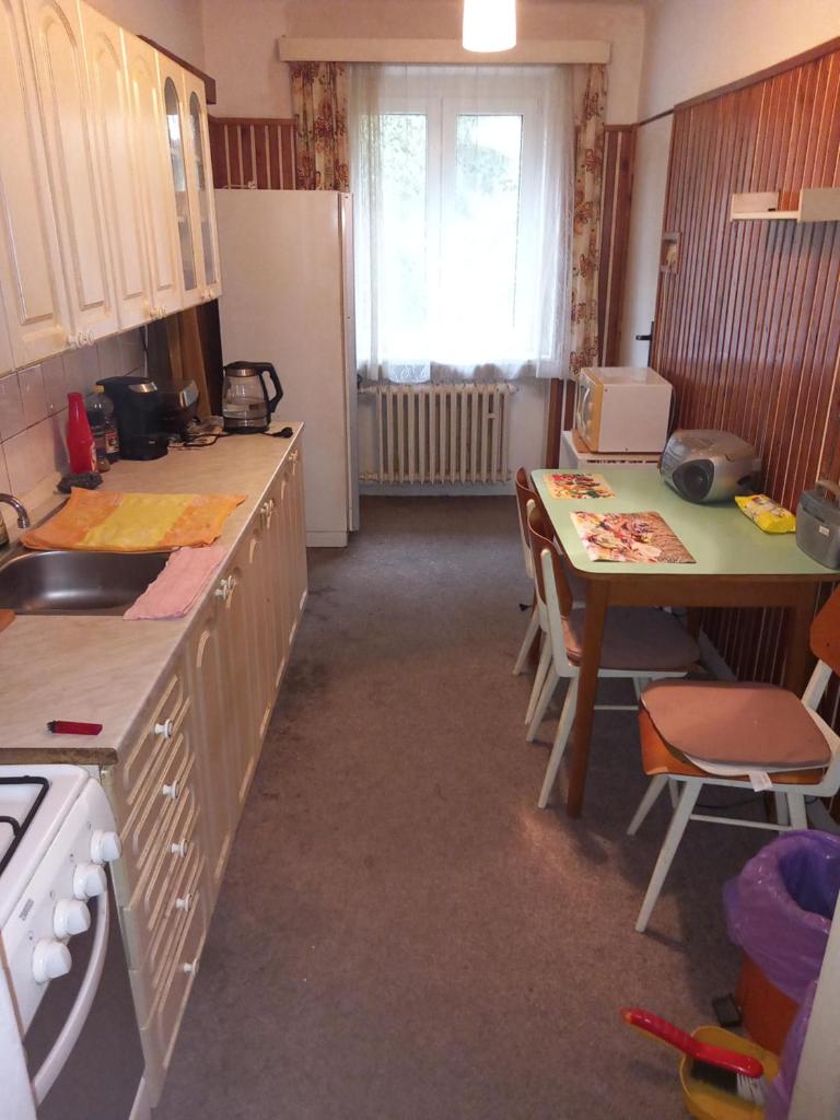 Apartment in the city of Pilsen photo 1