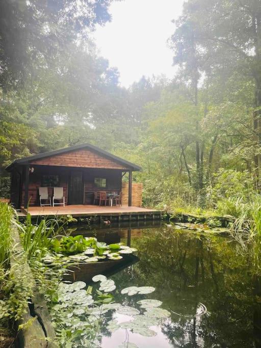 Prachtige chalet in het bos met sauna! photo 4