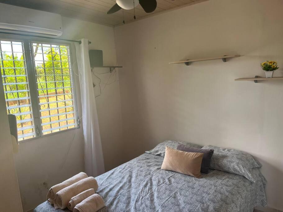 La Casita de Eli photo 2