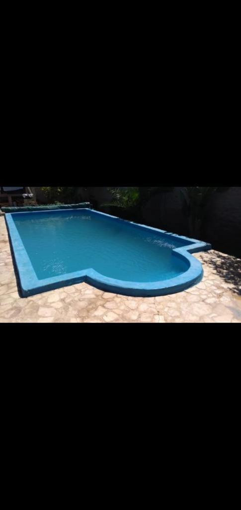Los Brachos photo 2