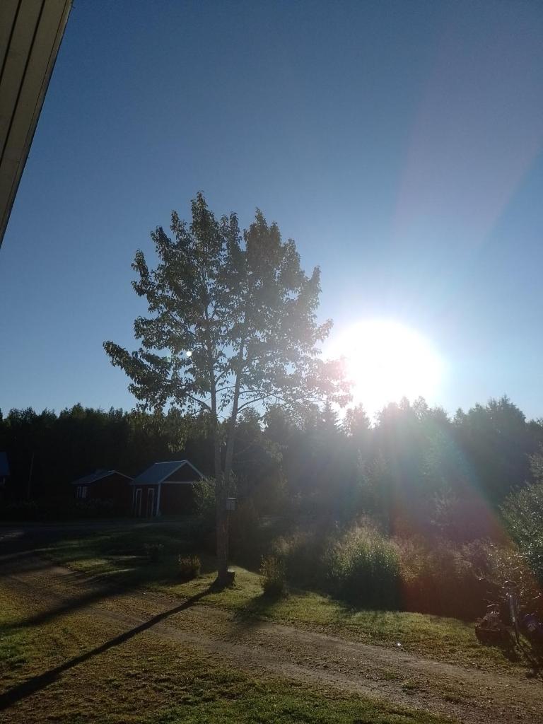 Wild nature photo 4