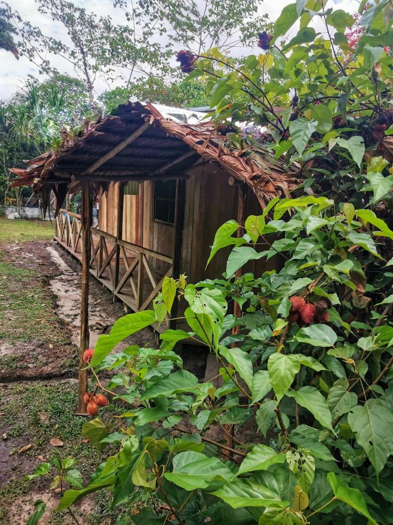YAKU lodge & camping