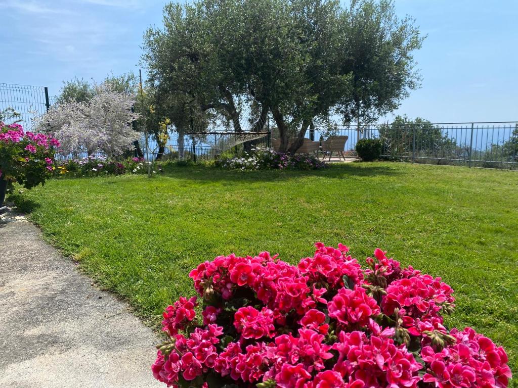CASA VISTA MARE - Superb garden and Parking included