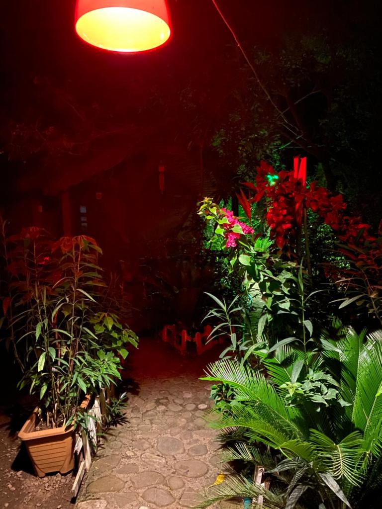 Canario Bungalows photo 1