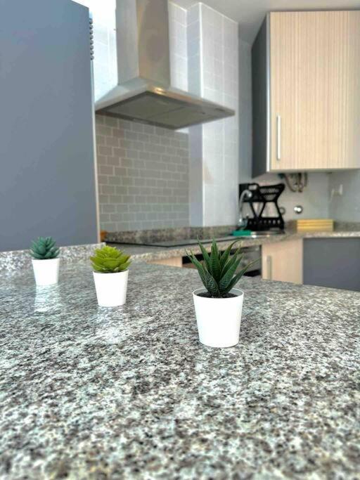 Apartamento Vera Playa photo 1