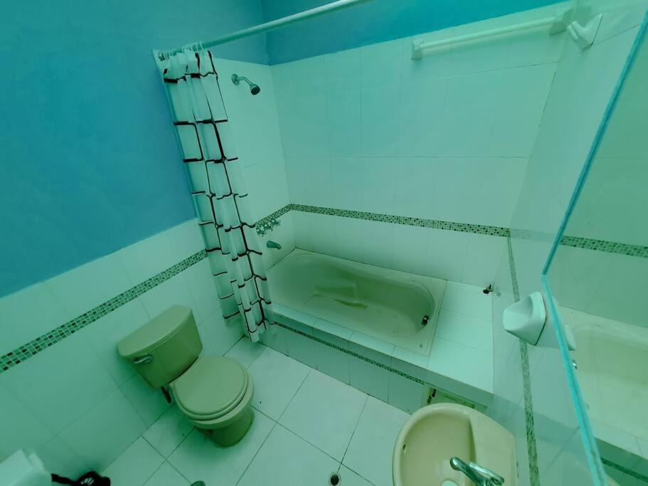 D301 photo 3