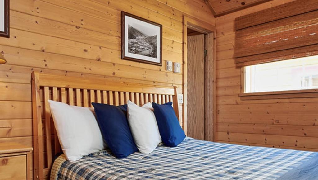 Klondike Kate's Cabins photo 3