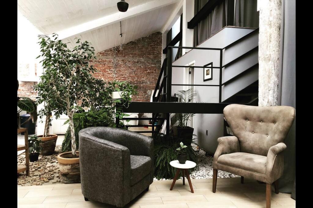 Loft Condesa - Tap to explore photos