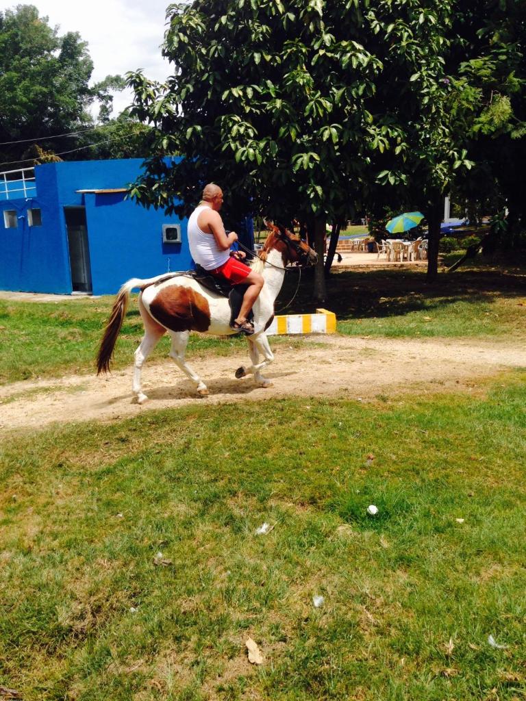 Finca El Tesoro photo 4