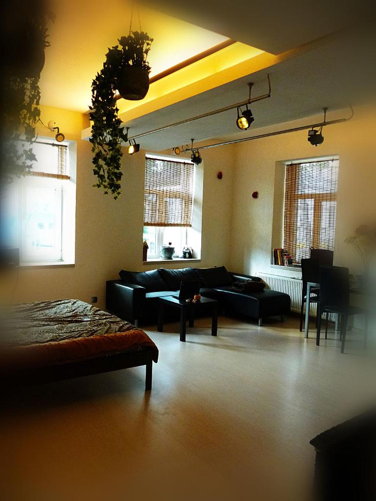 Ditton apartment city center photo 4