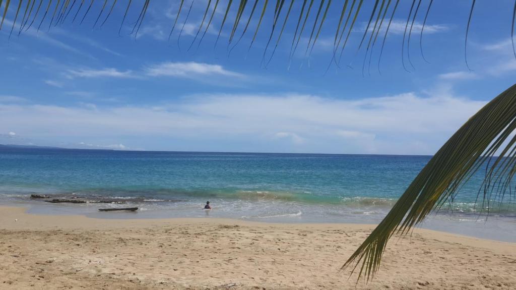 Come enjoy caribe pura vida