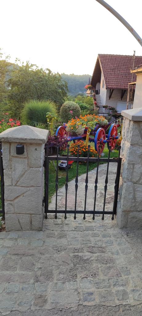 Apartmani Mali Raj Rudnik photo 1