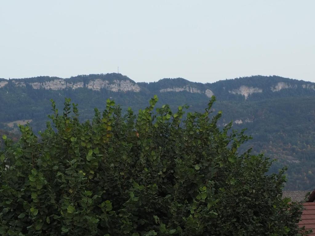 Mon gîte au Jura photo 3