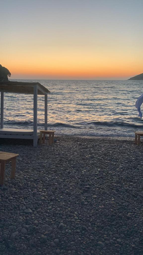 ZLATNI LEPTIR photo 4