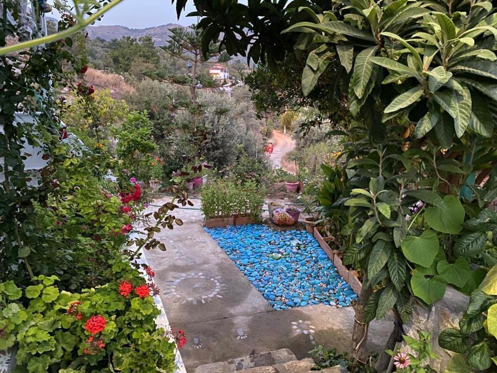 Mor Salkım Evi photo 1