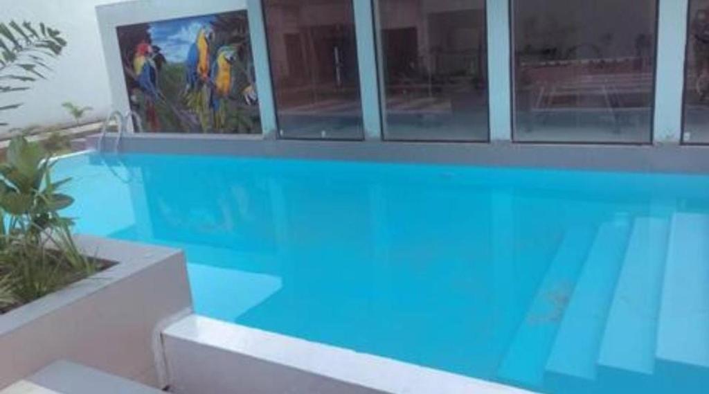 Elegant 1 bedroom apartment at Aquaview photo 4
