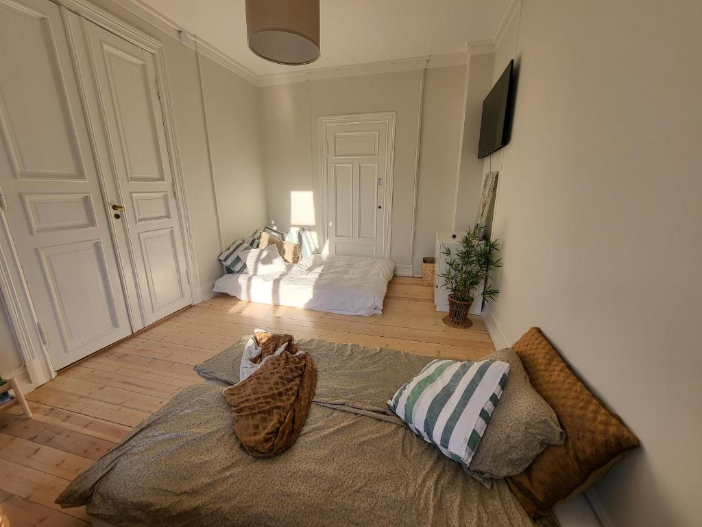 Spacious guest room in Large Central Oslo Condo