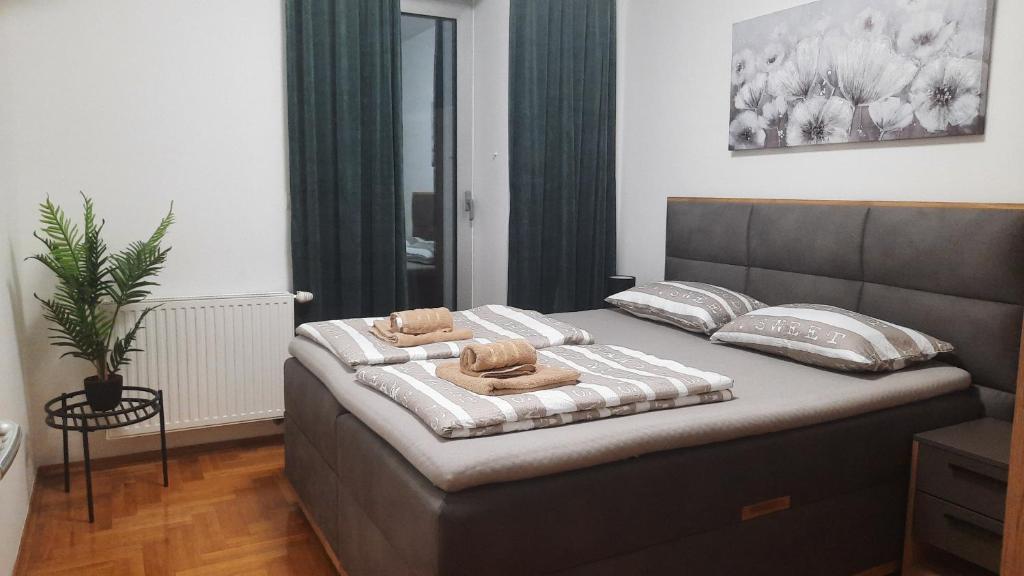Apartman Tena photo 1