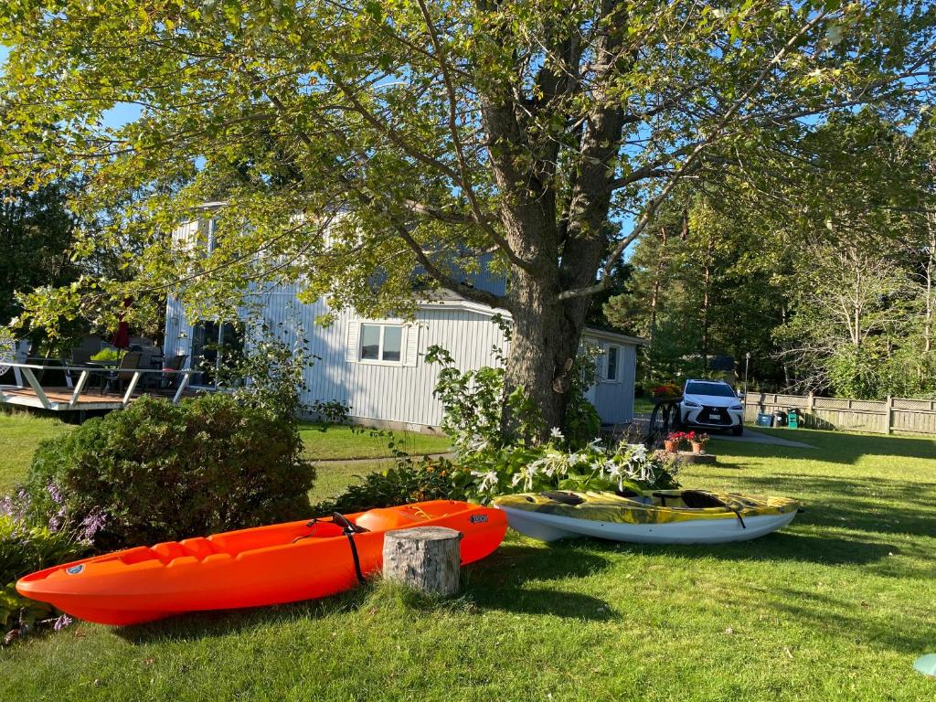Entire waterfront cottage in carrying place photo 1