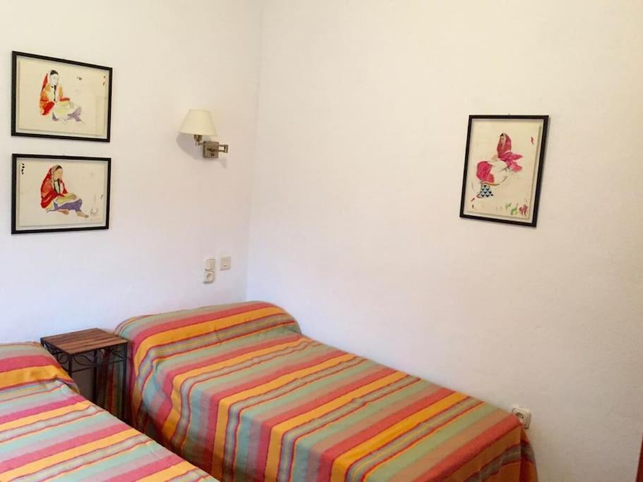 Casa Mirador Bubion, Large Terrace & Amazing Views photo 4