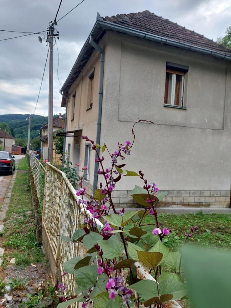 Apartman Rajac photo 1