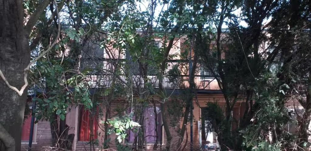 Tolhuaca Market Depto 3