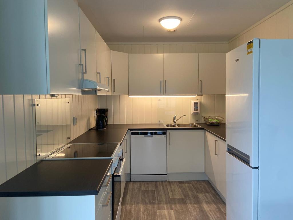 Winjum Apartments Aurland Stegastein photo 3