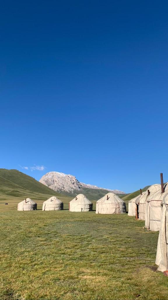 Yurt camp Visit Kol-Suu photo 4