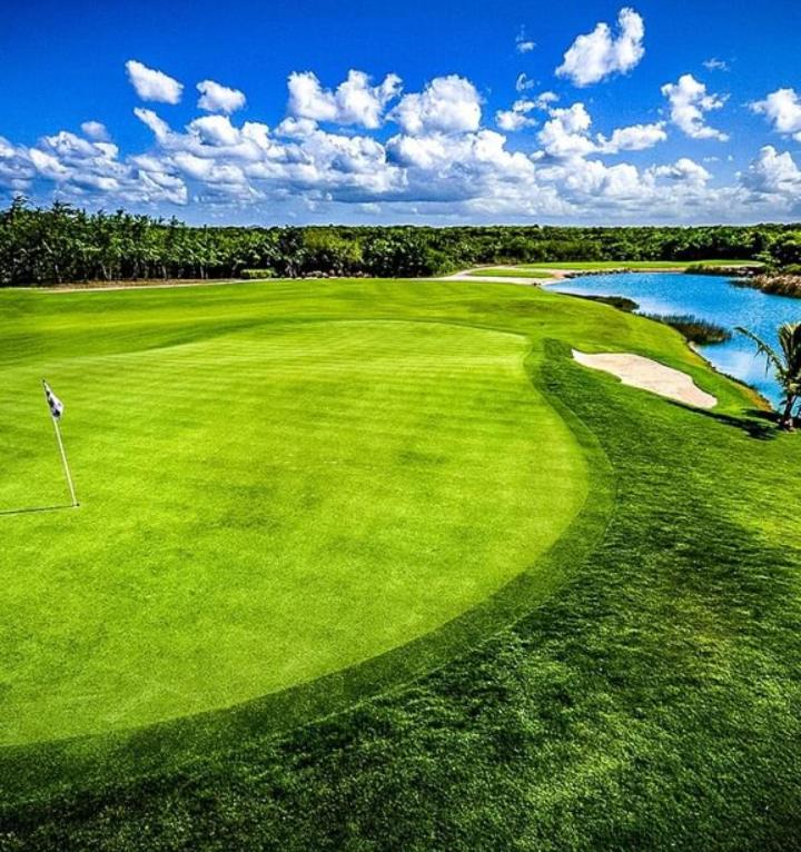 Hard Rock at Cana Rock 2 by Unwind Properties photo 2