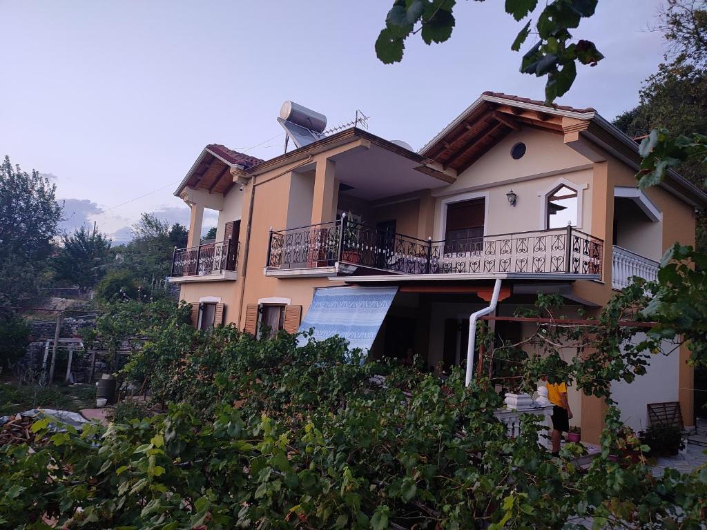 Tusuni Guest House photo 1