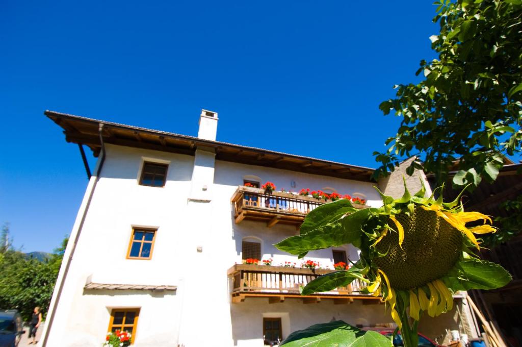 Sonnenheimhof photo 2