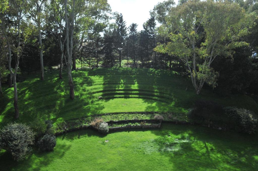Hotel del Bosque photo 2