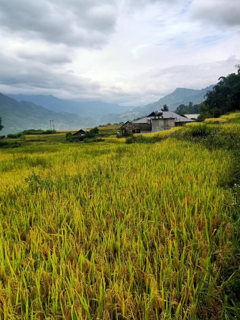 Lee's Charm Homestay