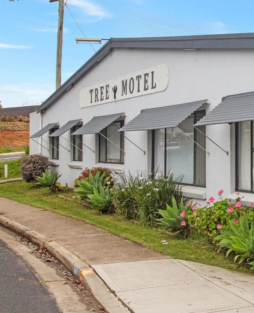 The Tree Motel photo 1
