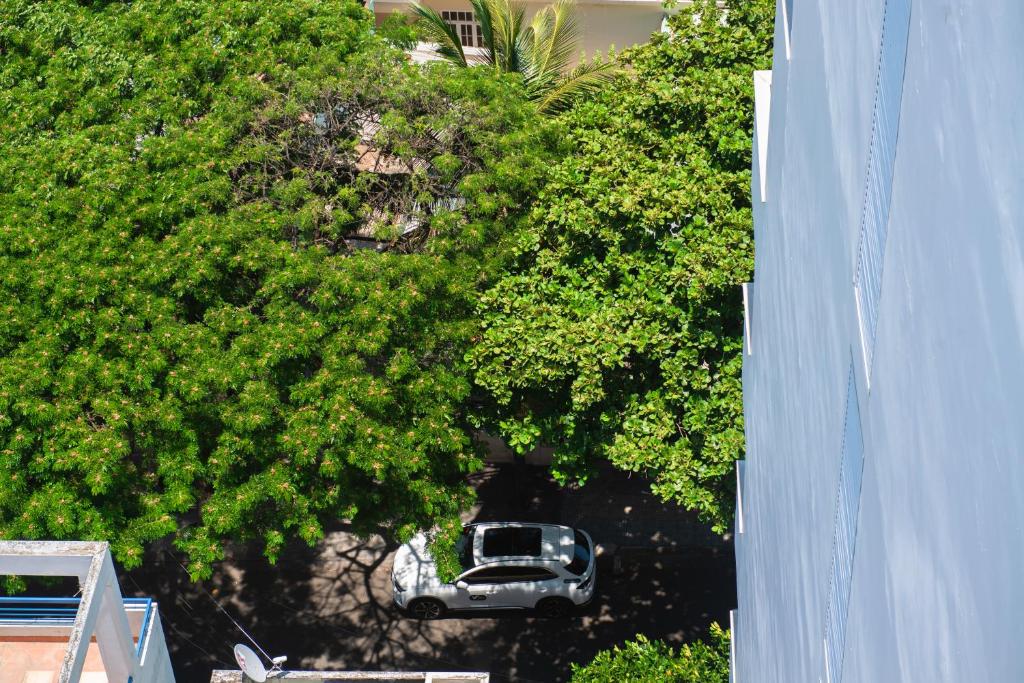 Seven Seas Hotel and Apartment