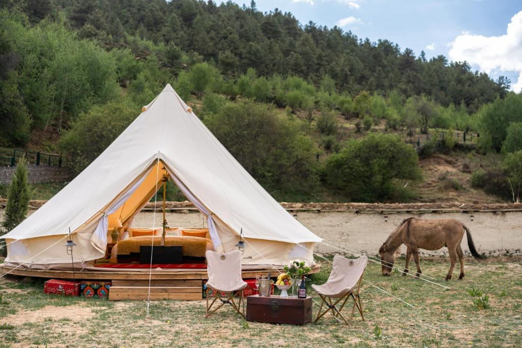 Shangri -la Liotard Farm Fix Camp photo 1